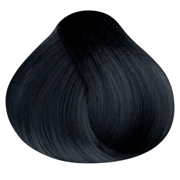 COLOR MAXYLOOK 100 ML 1 10 NEGRO BLUE