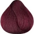 COLOR MAXYLOOK 5 66 100ML CAST ROJO INTENSO