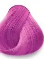 DIRECT COLOR ROSA MAXYLOOK 60 ML