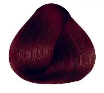 Color Genus 6 6 100ml