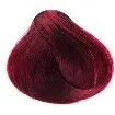 Color Genus 6 66 100ml