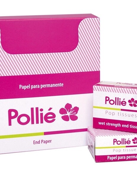 CAJA LIBRITO PAPEL PERMANENTE MUÑECA *POLLIE*